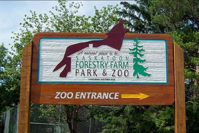 Forestry Farm 2