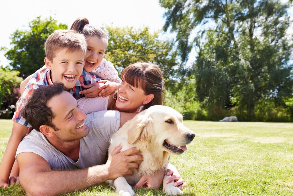 FAmily The meadows
